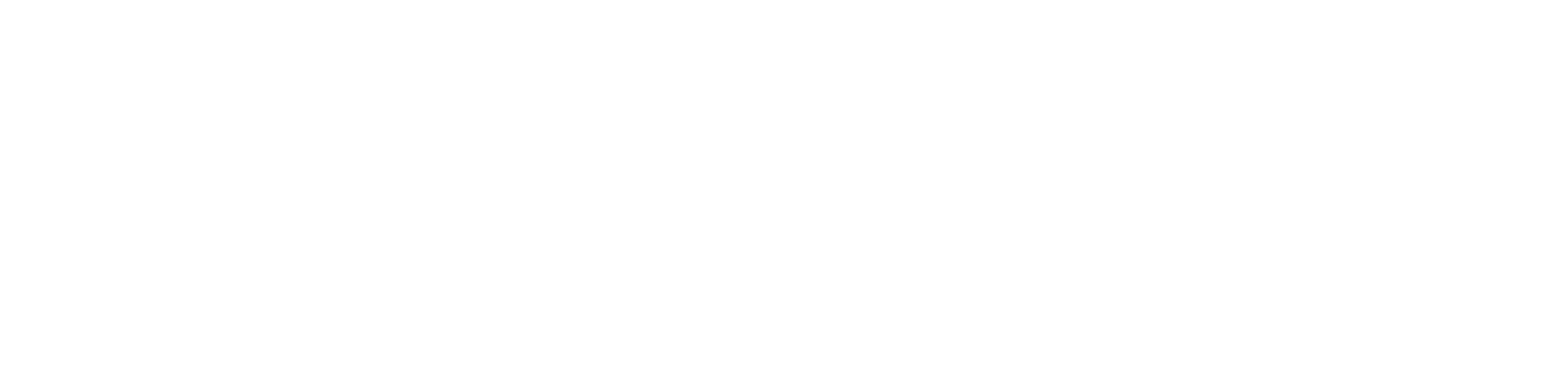 Wave Model